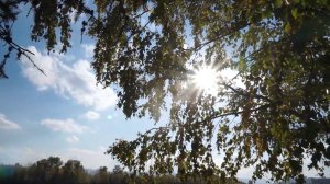 ОСЕНЬ В КРАСНОЯРСКЕ: ПРОГНОЗ ПОГОДЫ И ДАРЫ ПРИРОДЫ