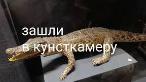 С.Петербург-решили посетить музей...