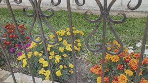 Соликамск. Жизнь и название городу дала соль.