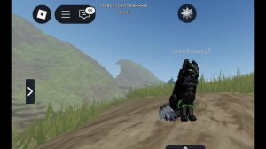 я поменяла ОС!?