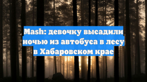 Mash: девочку высадили ночью из автобуса в лесу в Хабаровском крае