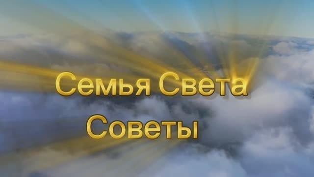 Семья Света. Советы 04.06.2025г (43 Послание)