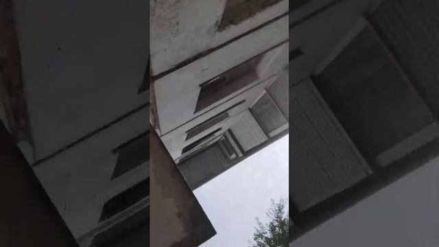 обявления