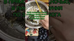 ТВОЁ СВЕРХОЧИЩЕНИЕ ЭТОЙ НОЧЬЮ ПО БОЖЬЕМУ ЗАДАНИЮ