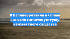 В Великобритании на пляж вынесло гигантскую тушу неизвестного существа
