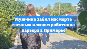 Мужчина забил насмерть гаечным ключом работника карьера в Приморье