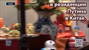 «А где ЛАБУБУ?»