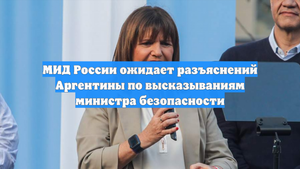 МИД России ожидает разъяснений Аргентины по высказываниям министра безопасности