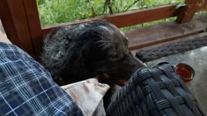 СОЧИ. ГОРНОЕ ЛОО ВЕЧЕР 08.09.2025