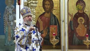 Кузбасский ковчег. 16 сентября 2025