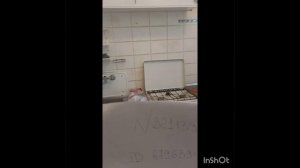 1ка, улица Глухова. Нет мебели и техники. Можно с ребёнком и небольшим животным. +79787003279