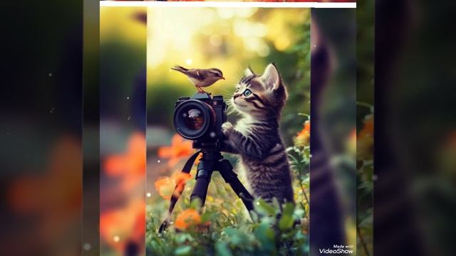 Позитивного настроения, счастья и удачи🐞🍀🐞🍀🐞🍀 смотреть онлайн