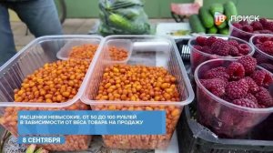 Рейд по несанкционированной торговле