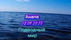 Анапа 08.09.2025 Подводный мир