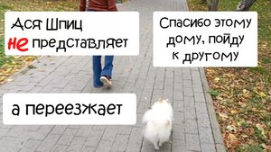 Спасибо этому дому, пойду к другому
