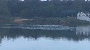 поимка карпа на большом водоёме
