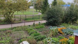 Теплый сентябрьский день в деревне, уютная деревенская жизнь