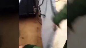 Видео от За Трофеем: Охота и Рыбалка