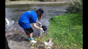 "Новые горизонты юных экологов Клуба юннатов Движения Первых Кувандыкского муниципального округа