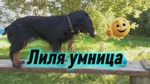 Тяжело учение 🤔