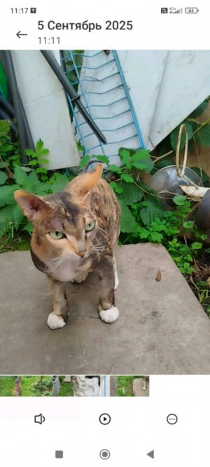 я очень рад