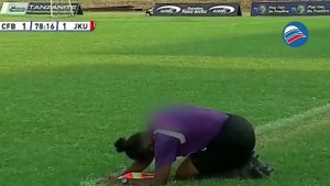 Спасались, лёжа на газоне: футбольный матч в Танзании остановили из-за роя пчёл