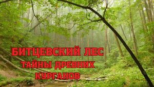 БИТЦЕВСКИЙ ЛЕС | ТАЙНЫ ДРЕВНИХ КУРГАНОВ