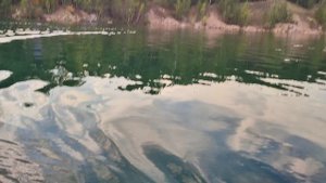 Вечерние катание на катамаране! #катамаран