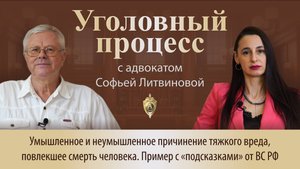 Выпуск 252.Умышленное и неумышленное причинение тяжкого вреда, повлекшее смерть человека.