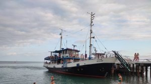 Пицунда,август 2023г.