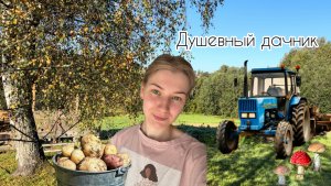 Привет, осень🍂 Утренняя зарядка! Выкопали картошку! Прогулка в осеннем лесу! #осень#дача#грибы#лес