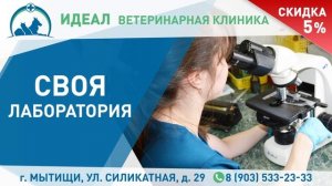 ТРАНСМЕДИА - Ветеринарная клиника "Идеал"