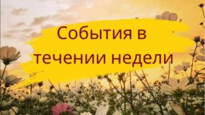 События в течение недели - 31