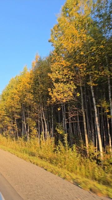 1000297977.mp4 смотреть онлайн