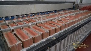 Фомальгаут ПТП ООО