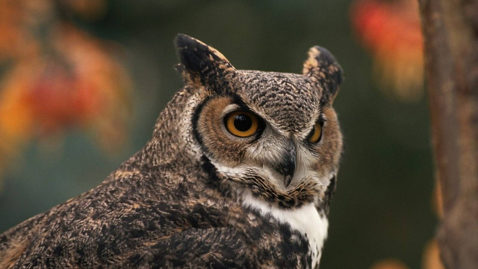 kkkkkkkkkkkkkkkkkkkkkkkkkk