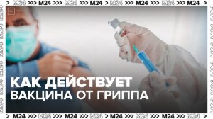 Специалист рассказал, как действует вакцина от гриппа - Москва 24
