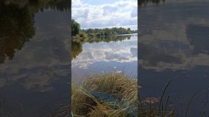 Озеро Земснаряд🎣