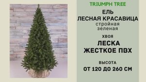 Triumph Tree - ОБЗОР искусственной ели Лесная красавица стройная зеленая