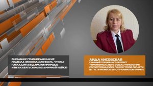 Внимание, грибники! 05-09-2025