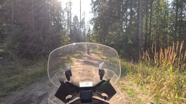 #93-4 Off-road до Приморска |CF Moto 450 MT|Kove 500X| KTM 390 Adventure| RE 450 Himalayan | Minsk