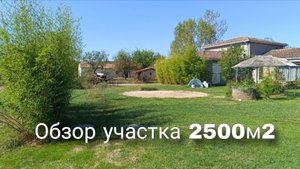 Перед осенними работами. Мой сад зарос.