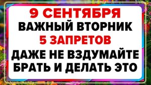 9 сентября — Анфиса-Рябинница. Что можно и нельзя делать