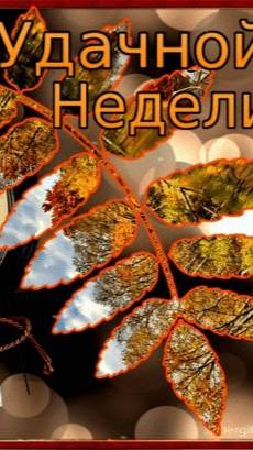 ВАЖНЫЕ события недели (8.09-16.09)