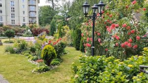 курорт Пионерский, город Калининградской области
