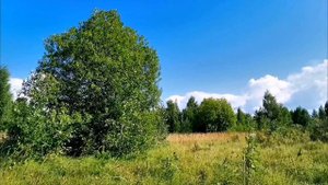 Красивая и нежная музыка без слов для души