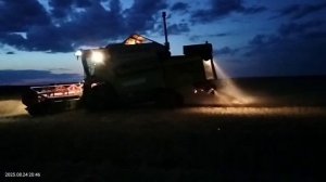 Клас Медион 310