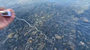 Большой Утриш утром 8 сентября 2025 года. Показывает и рассказывает Иван-историк.