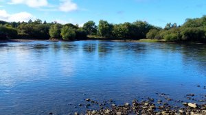 На автобусе по БИРОБИДЖАНУ. Град!! сентября 2025г