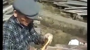 Дед делится древне-русскими знаниями это раньше знал каждый